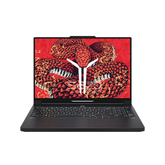 Legion Pro 5 2025 R9000P (Black)(R9-9955HX| 32GB RAM| 1TB SSD| RTX 5060) OLED