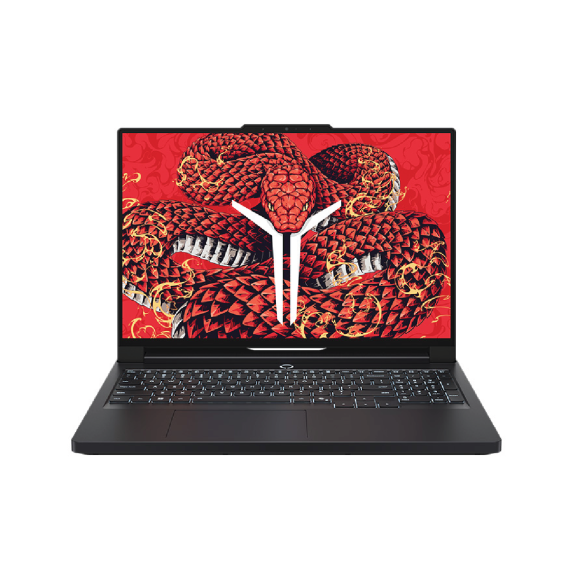 Legion Pro 5 2025 R9000P (Black)(R9-8945HX| 32GB RAM| 1TB SSD| RTX 5060/5070)